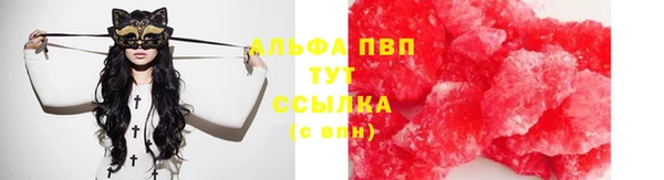 винт Арсеньев