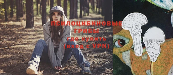 винт Арсеньев
