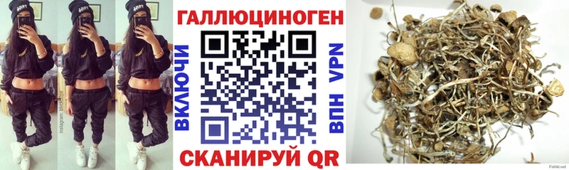 Псилоцибиновые грибы Psilocybine cubensis  где можно купить наркотик  ссылка на мегу   Луга 